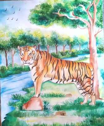 Tiger Water Colour Art By Ankur
