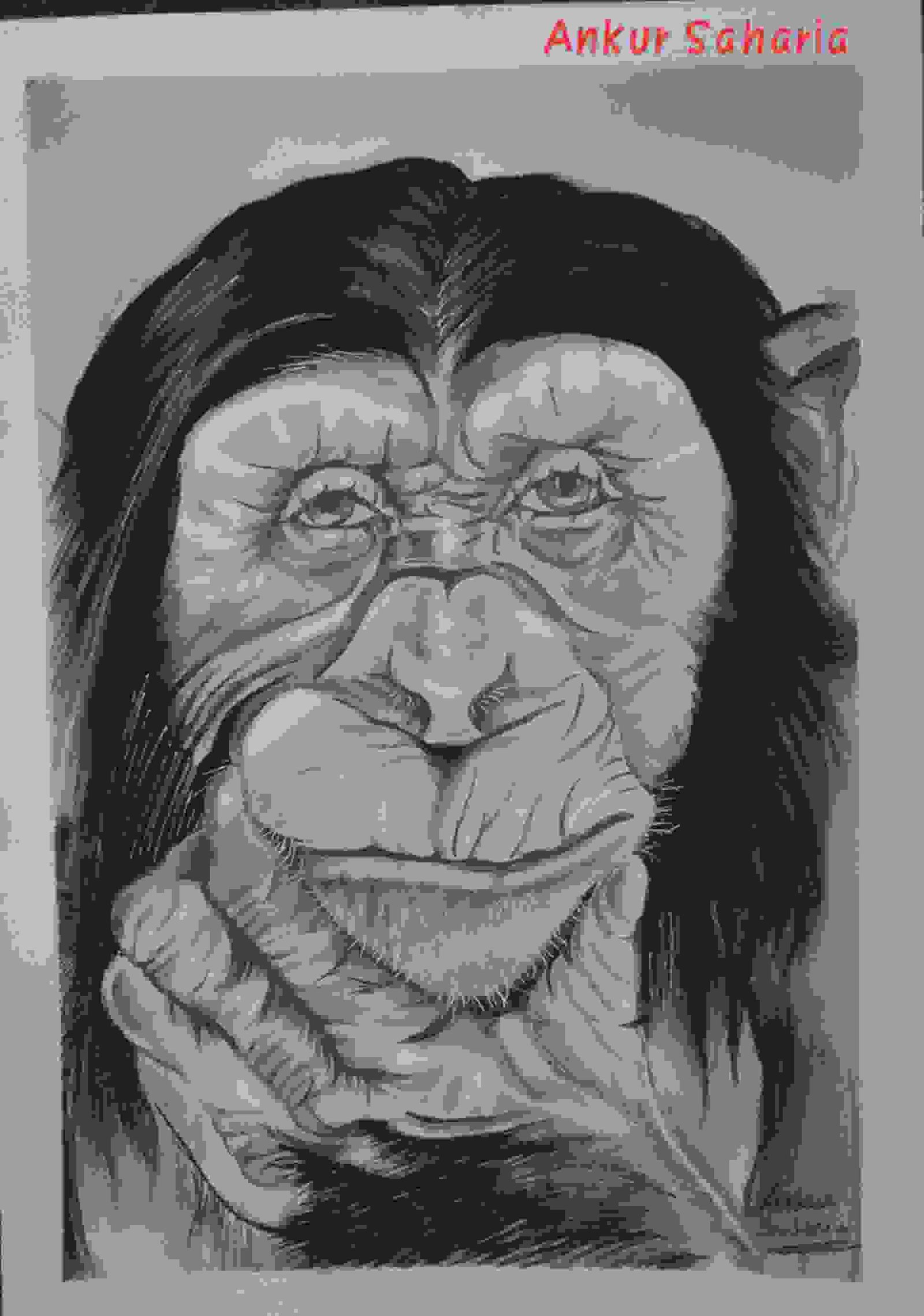 Chimpanzee Shading Charcoal Pencil By Ankur