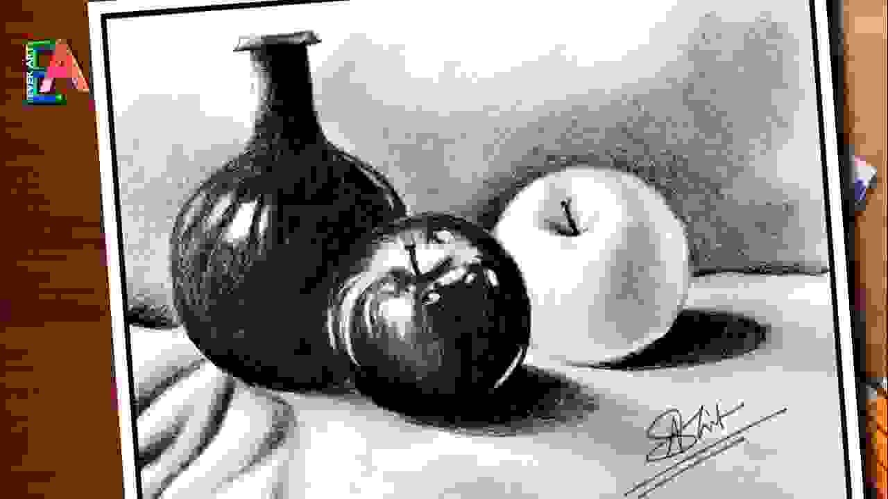 Still Life Drawing