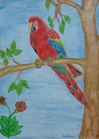 Scarlet Macaw Parrot On Woods
