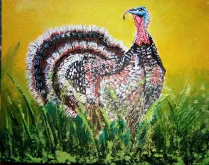 Turkey Bird Acrylic On Canvas 12x10