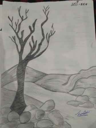 Sketch Using Hb Pencil On Paper Art By Tapasya Bidyut