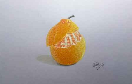 Realistic Drawing Of Orange Fruit How To Draw Orange Fruit