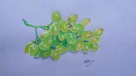 Realistic Drawing Of Green Grapes Watch My Drawing Video