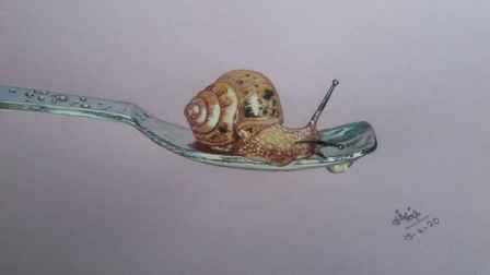 Realistic Drawing Of Snail How To Draw A Realistic Snail
