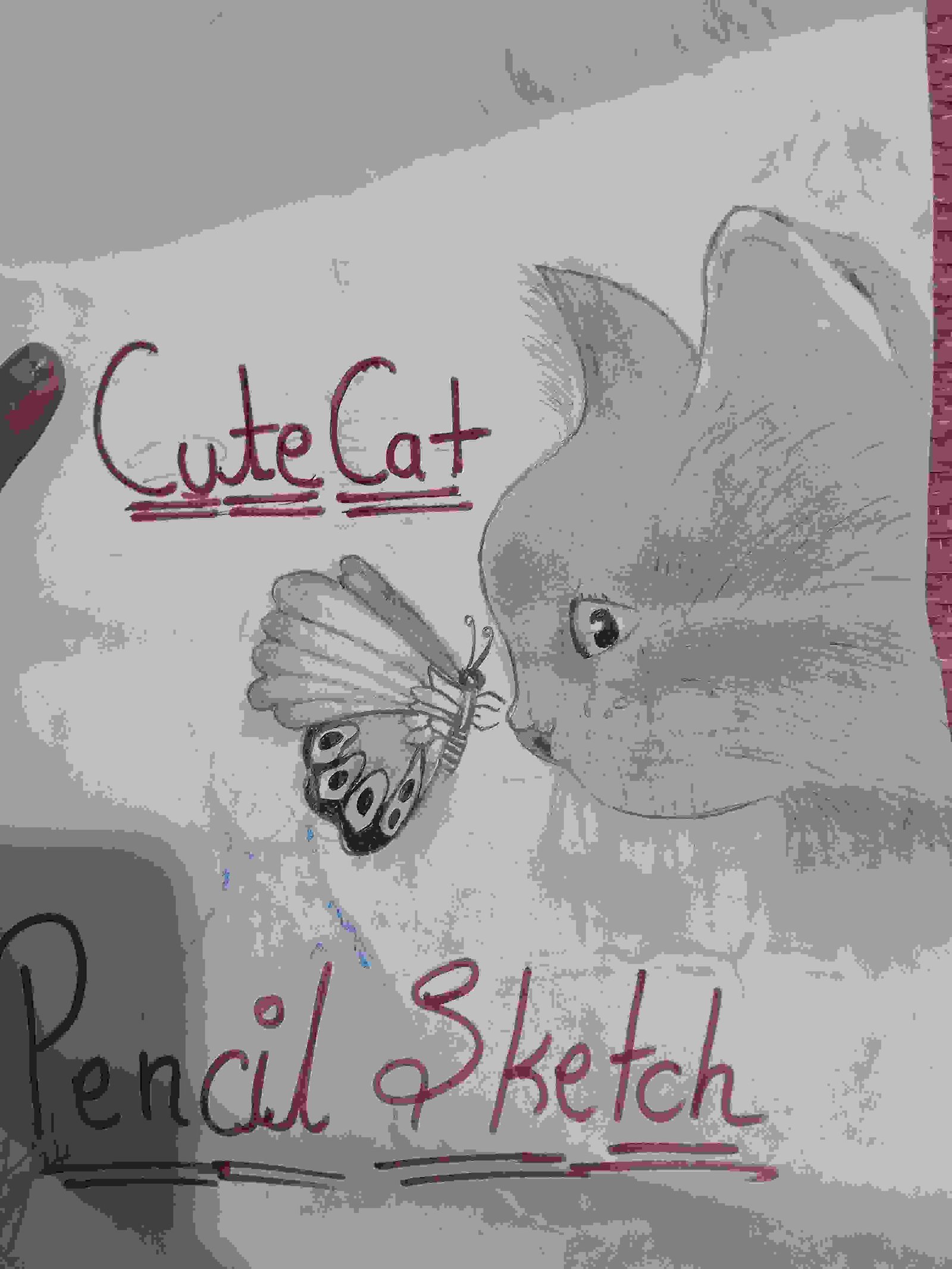 Painting Of Cute Cat And Butterfly Sketch In Post Size A4