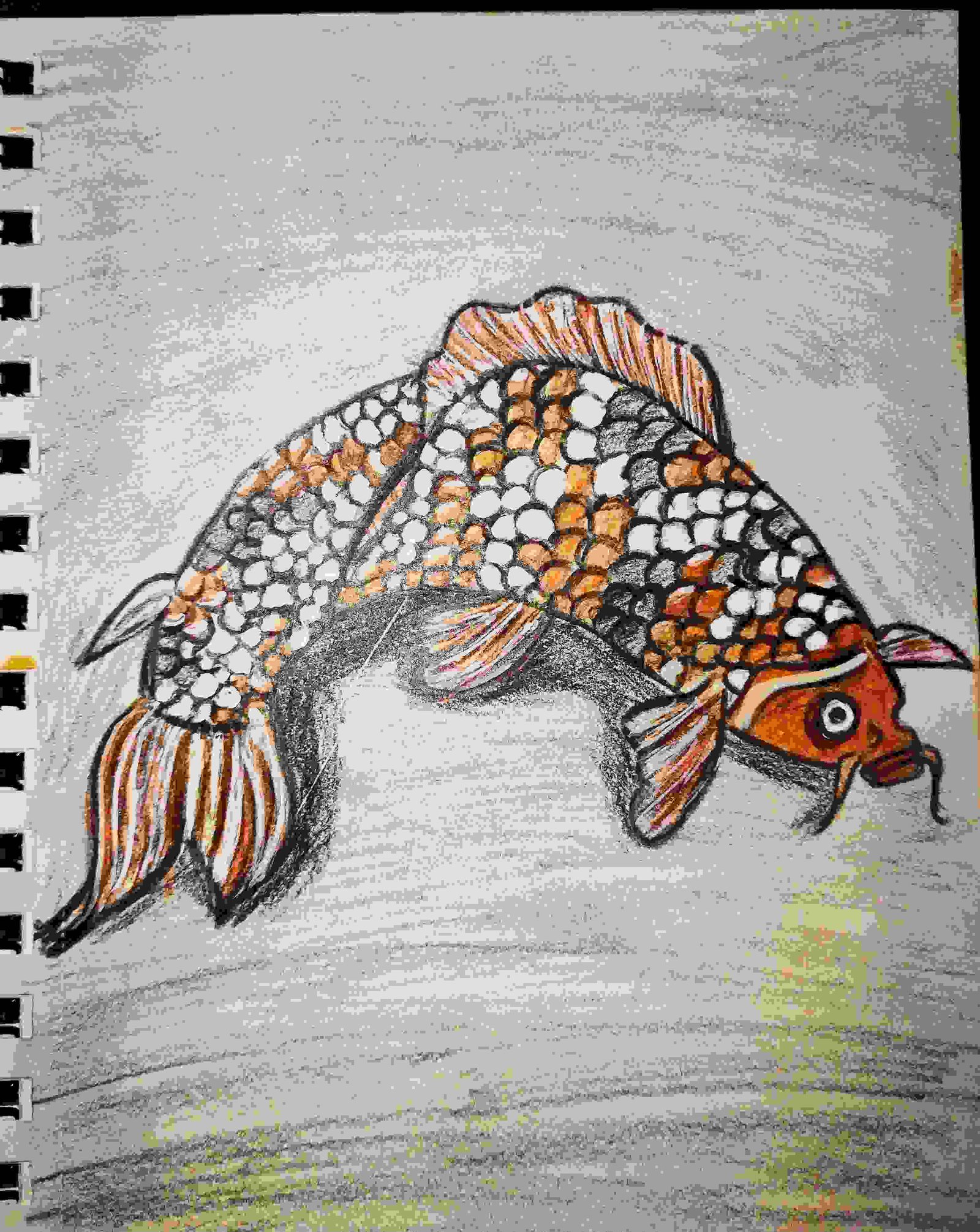 Painting Of Koi Fish Drawing In Colour Pencils - GranNino