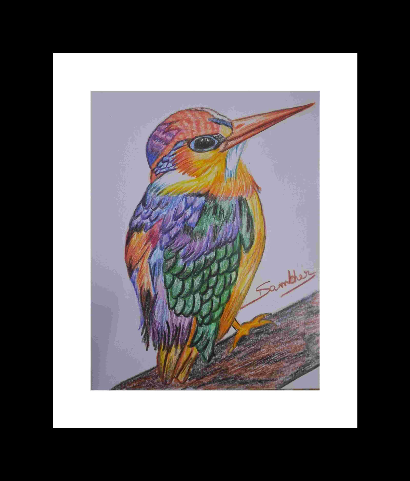 The Flight King Of The River Kingfisher