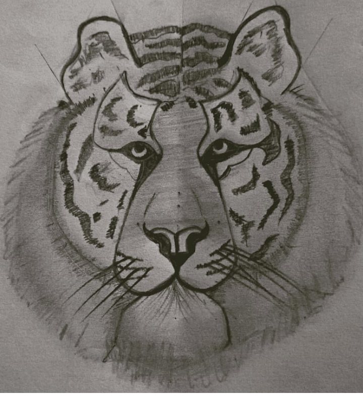Painting Of Tiger In Pencil Art Size 655kb Sq Cm Price 1 A