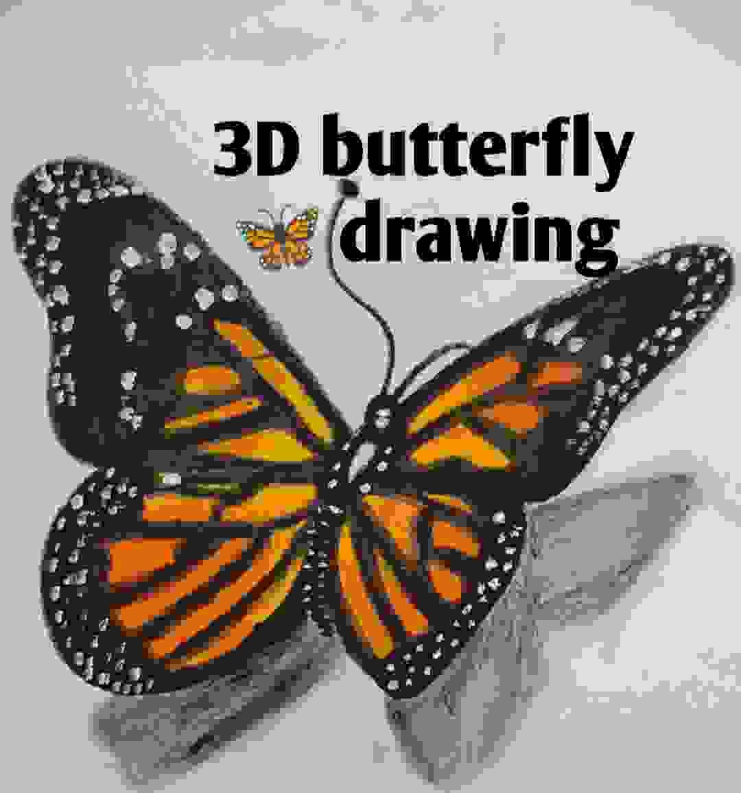 Illustrations butterfly,Art,3d graphics Stock Photo - Alamy