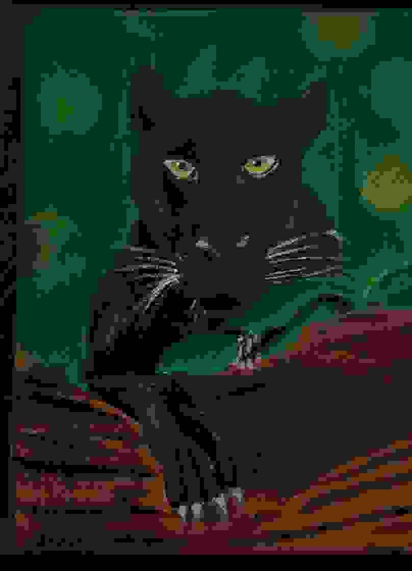 Black Panther Stealthy Guardian Of The Wild Shadows