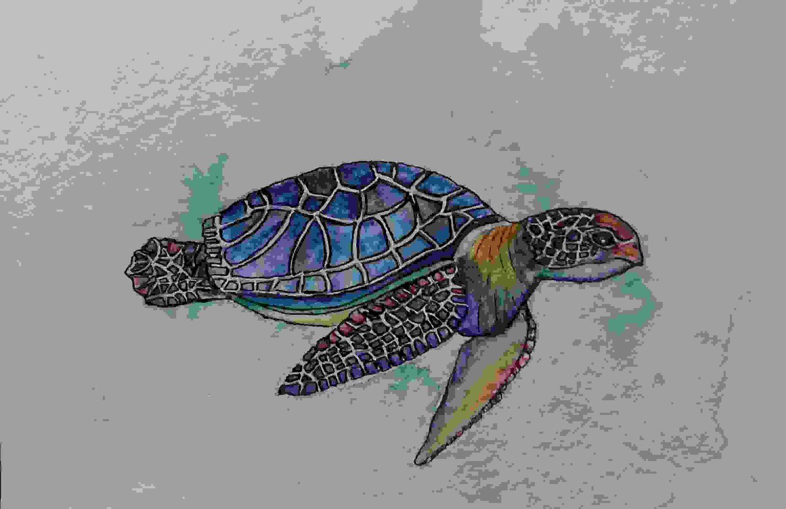 Sea Turtle Watercolor And