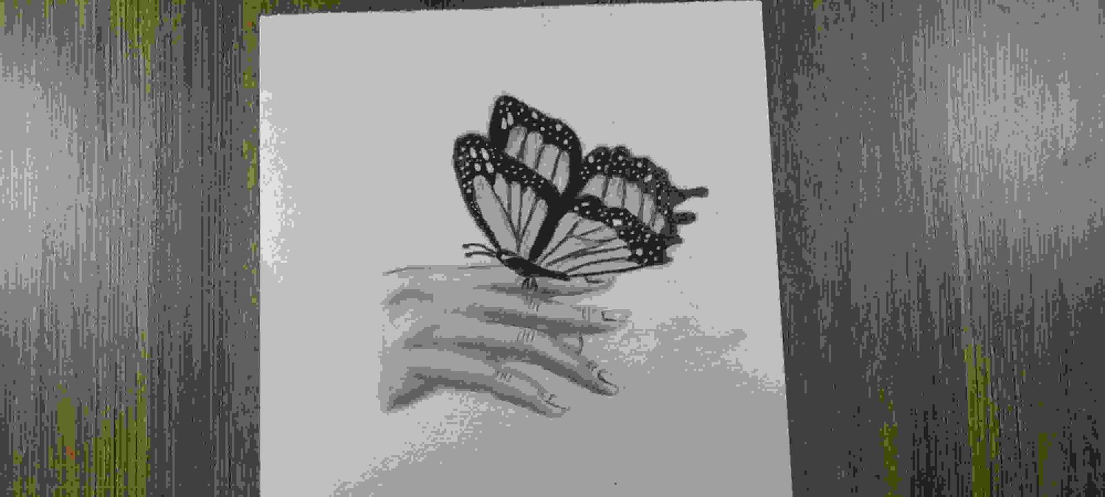 Painting Of Butterfly With Hand Pansil Sketch In Butterfly