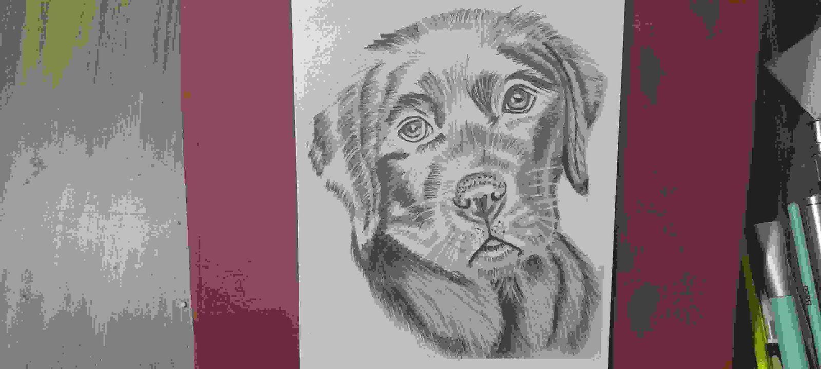 Painting Of Dog Sketch In Art By Vashu Goldy Size A5 Sq Cm P