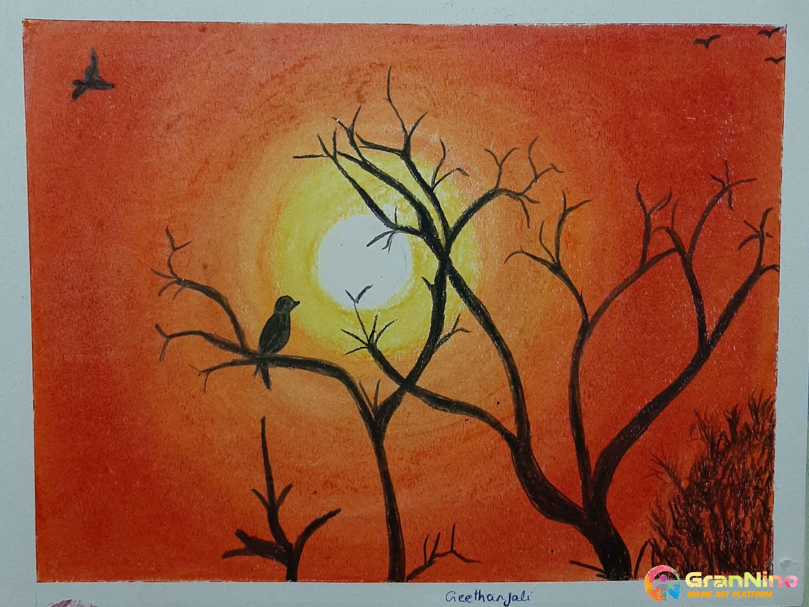 Night Sky Birds And Moon For Kids Drawing