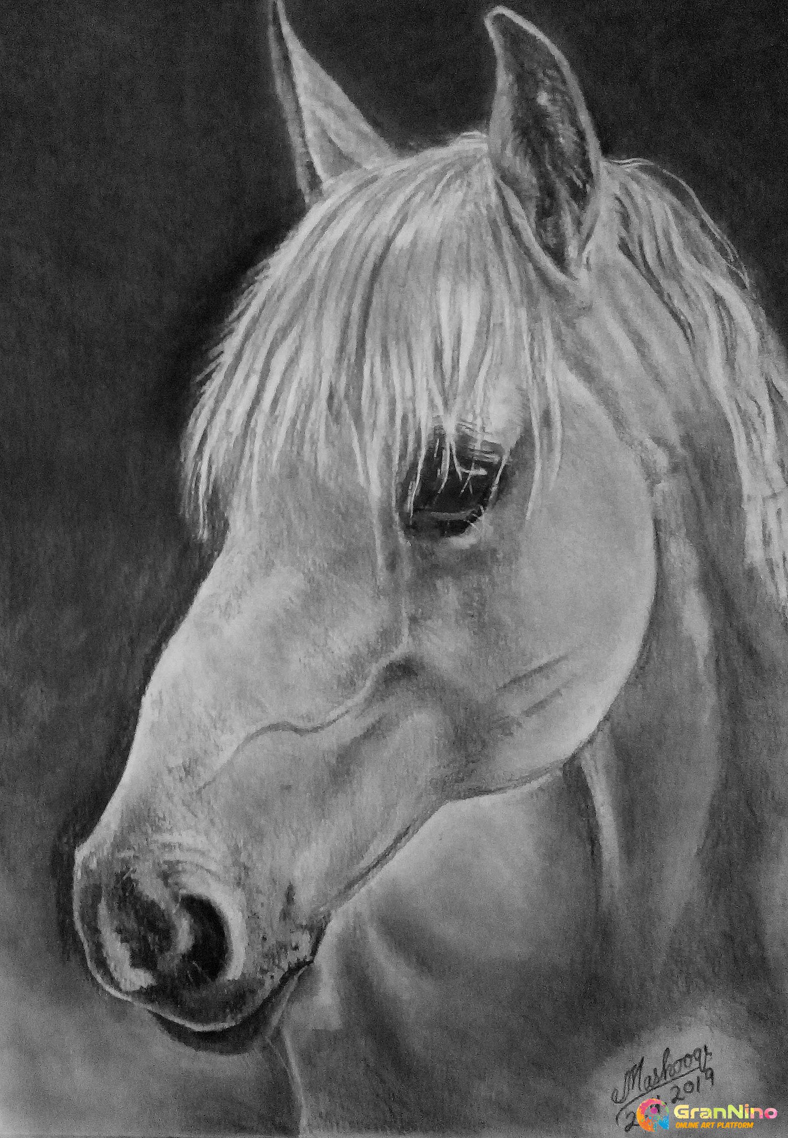Charcoal paintings for stunningly expressive artworks!