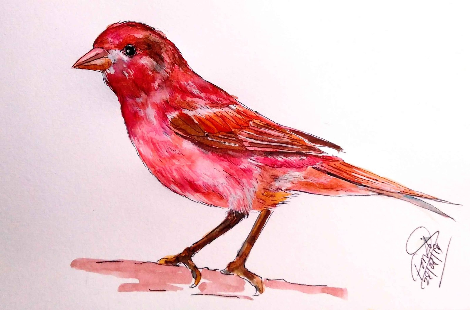 Great Rosefinch Bird Painting