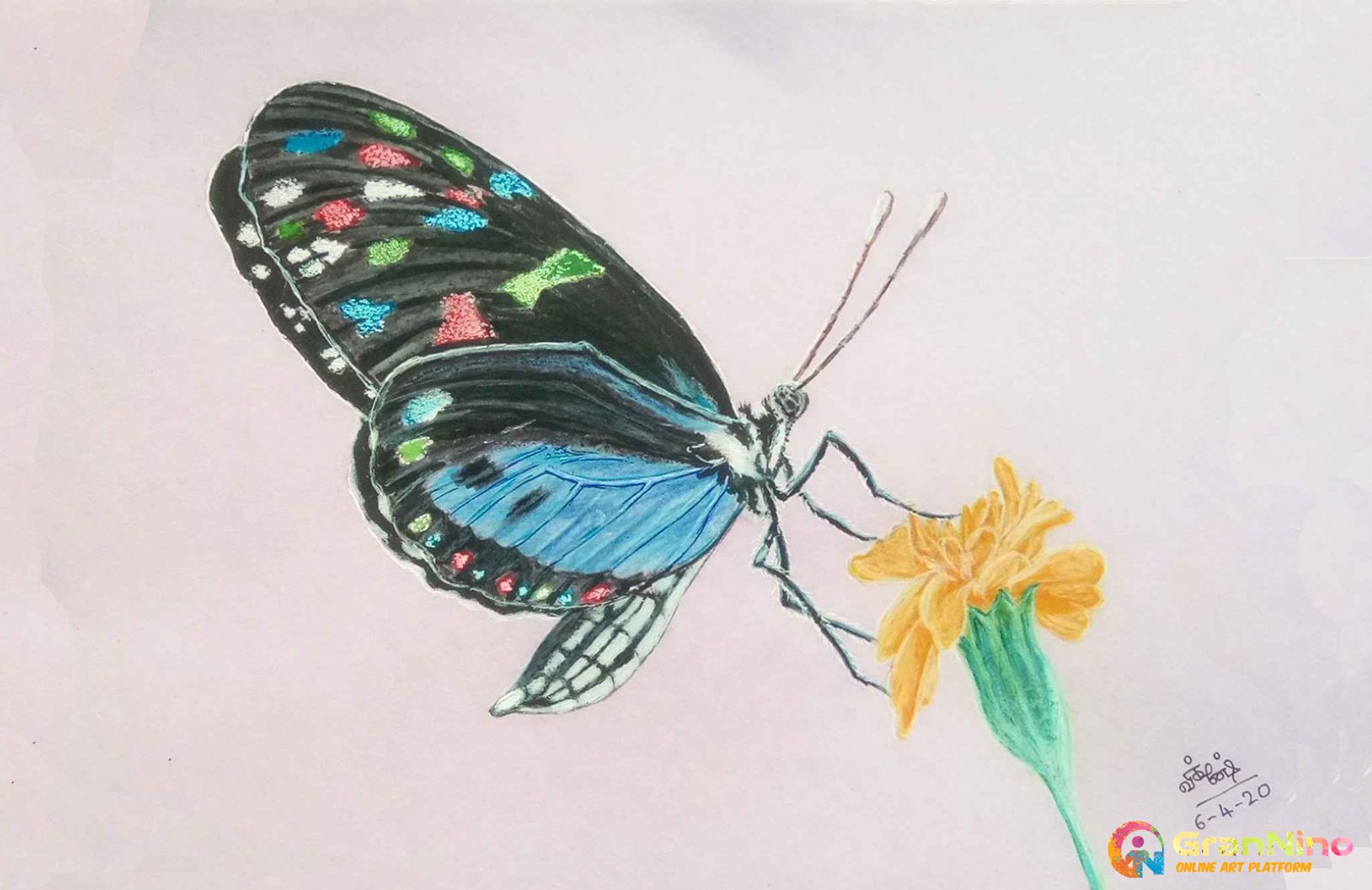 Buy Big Homes Colors Box Color Pencil ,Crayons , Water Color, Sketch Pens  Set Of 46 Pieces Online at desertcartSri Lanka
