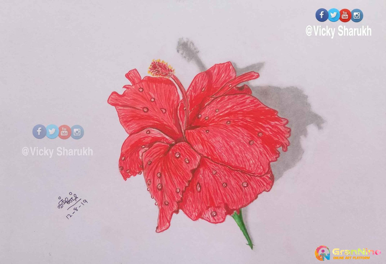 Hibiscus Drawing Color Stock Illustration - Download Image Now - Antique,  Art, Art Product - iStock
