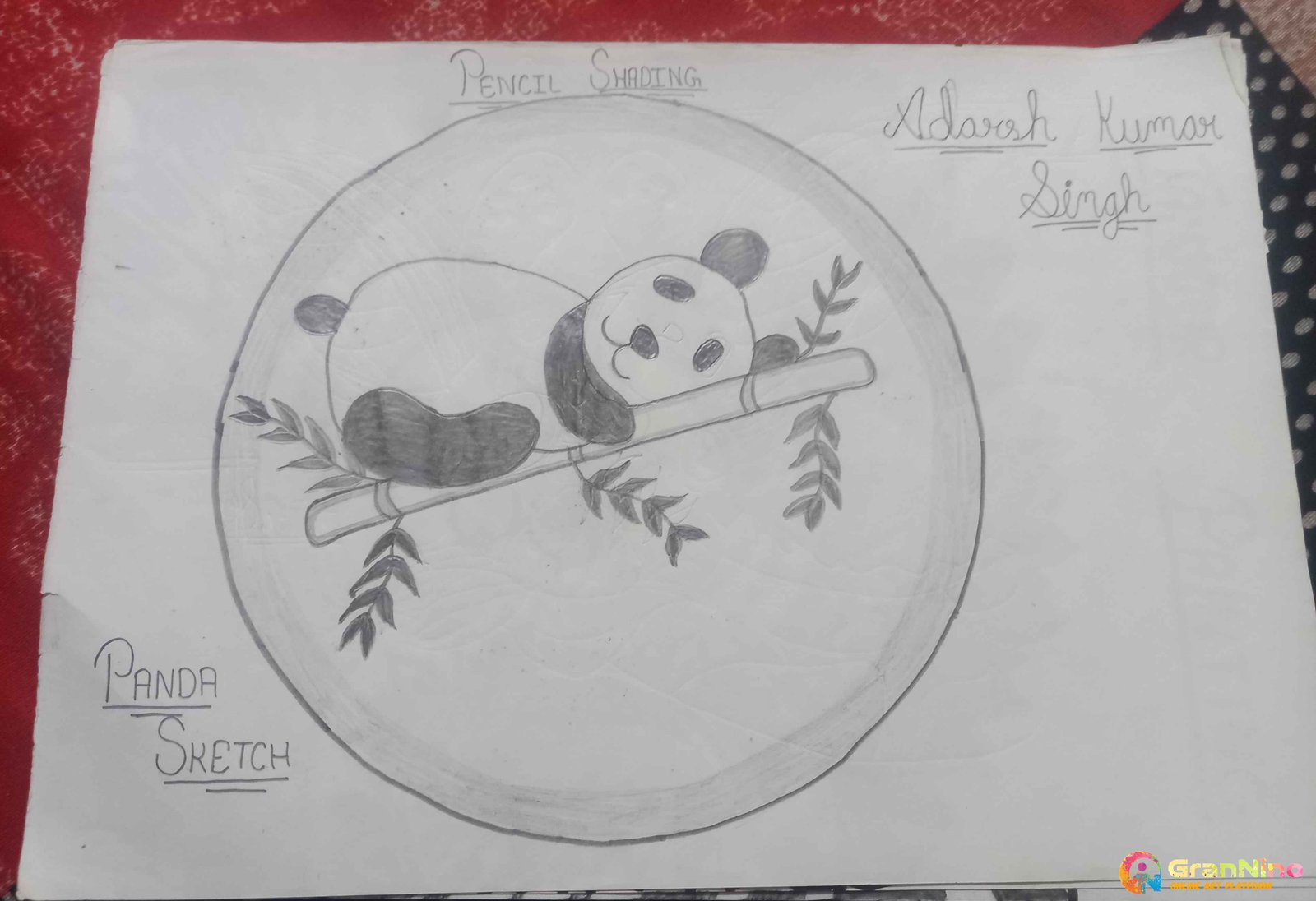 Painting Of White Cute Panda In Sketch Size 21293 Sq Cm