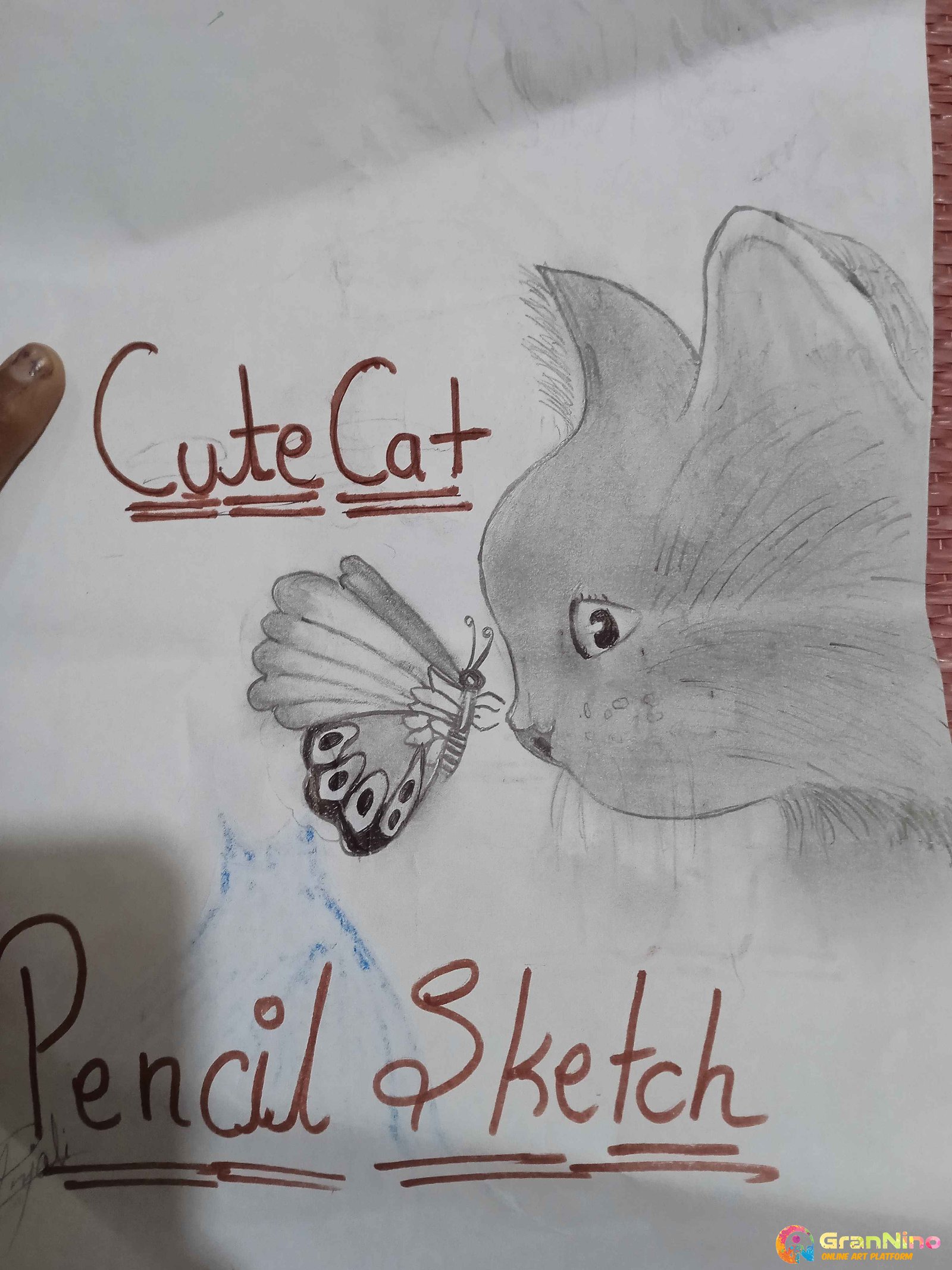 Charcoal of a cat and butterfly (with a bit of colour) : r/drawing