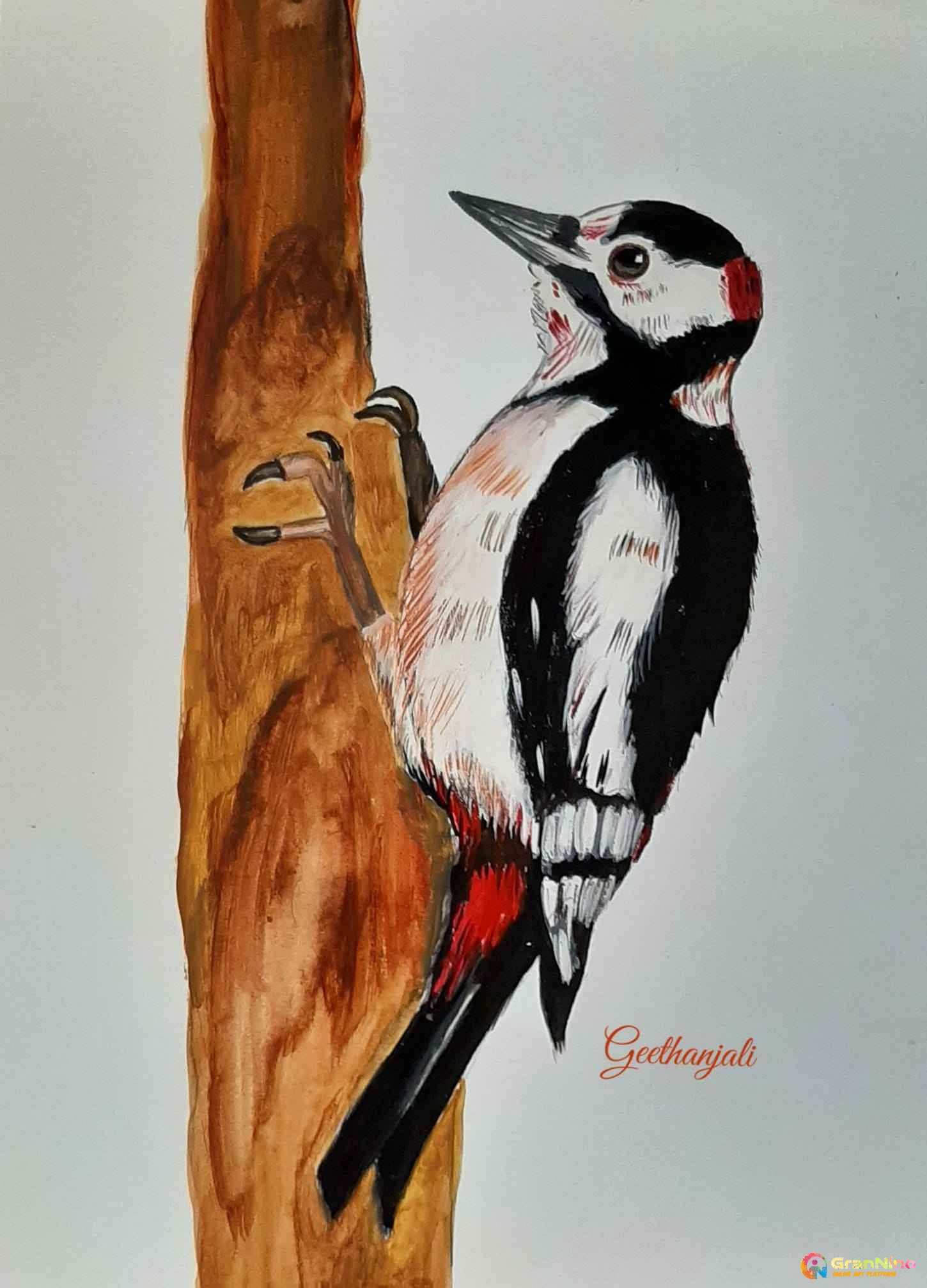 Watercolour Drawing Of Bird On Paper A4