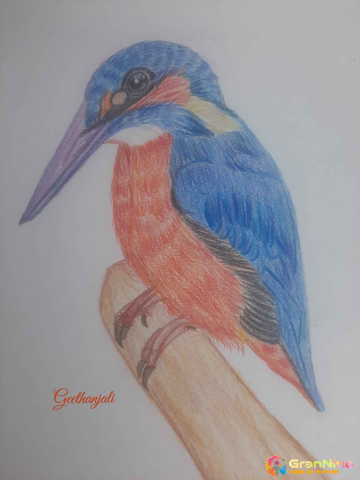 Colourpencil Drawing