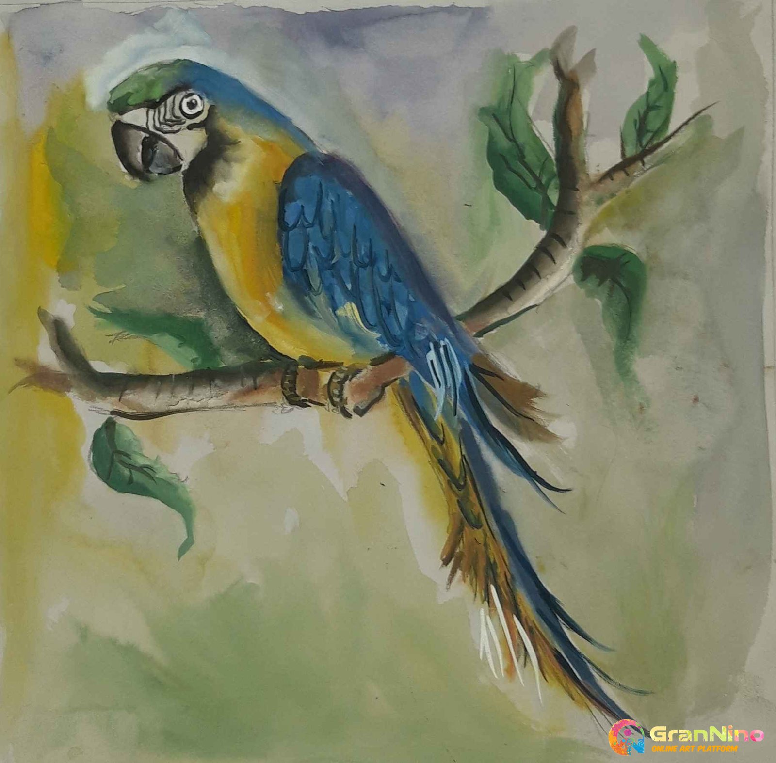 How to draw Parrot - video Dailymotion