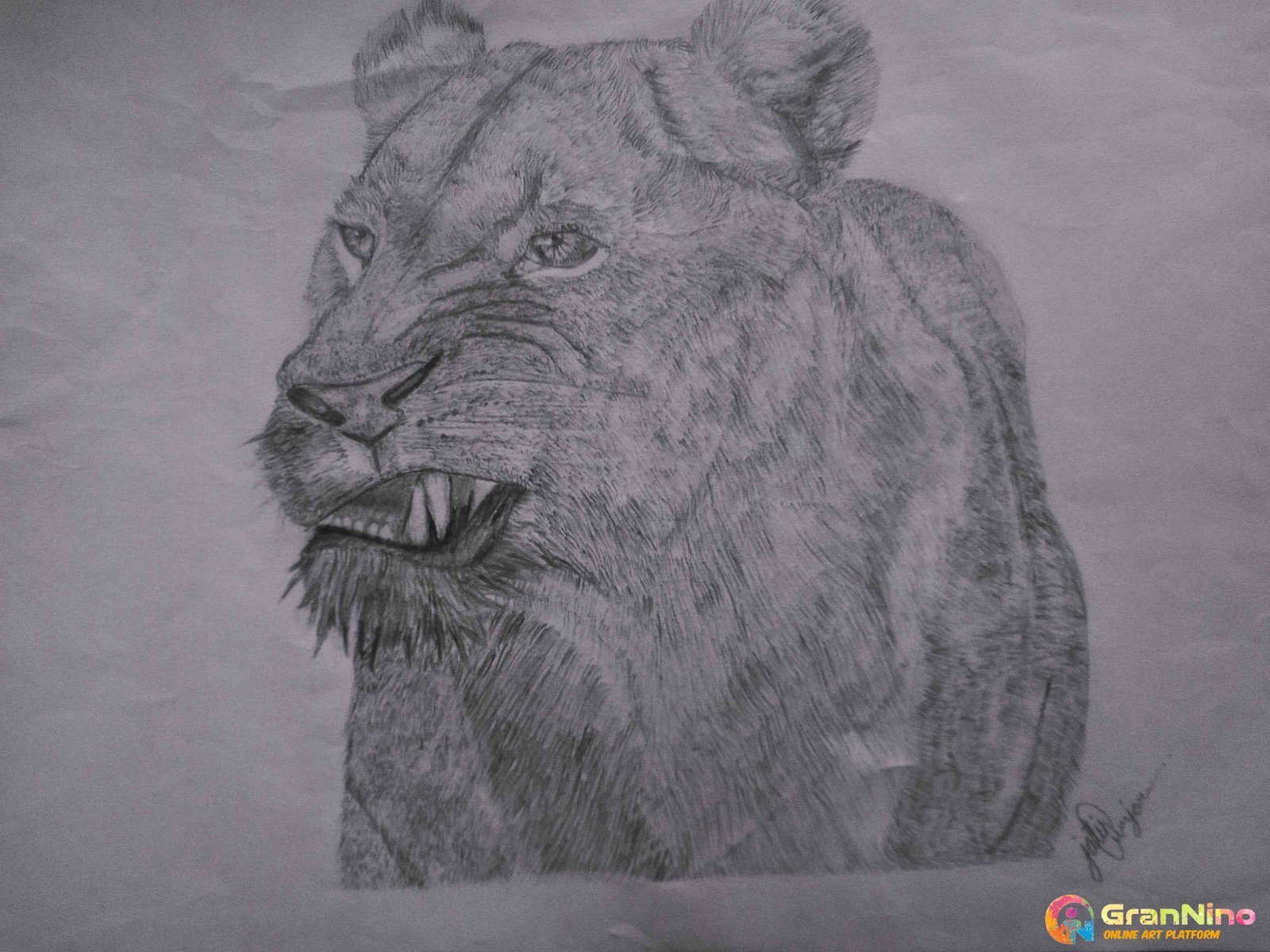 An Angry Lion Portrait Sketch