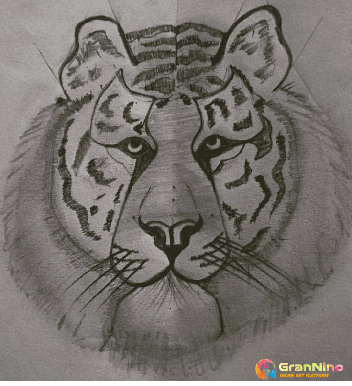 Painting Of Tiger In Pencil Art Size 655kb Sq Cm Price 1 A