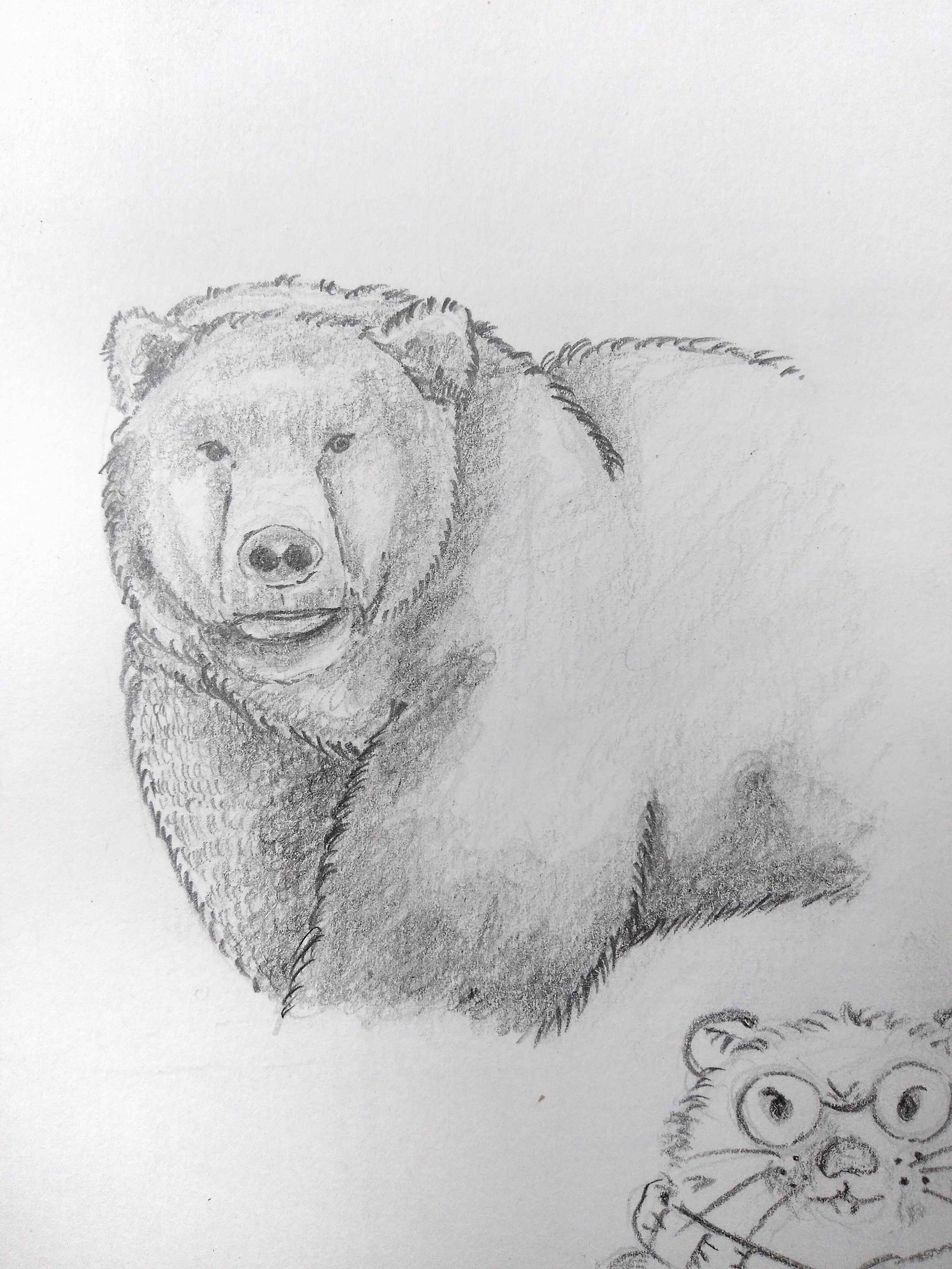 Another Wild Animal Pencil Sketch Bear Pencil - GranNino