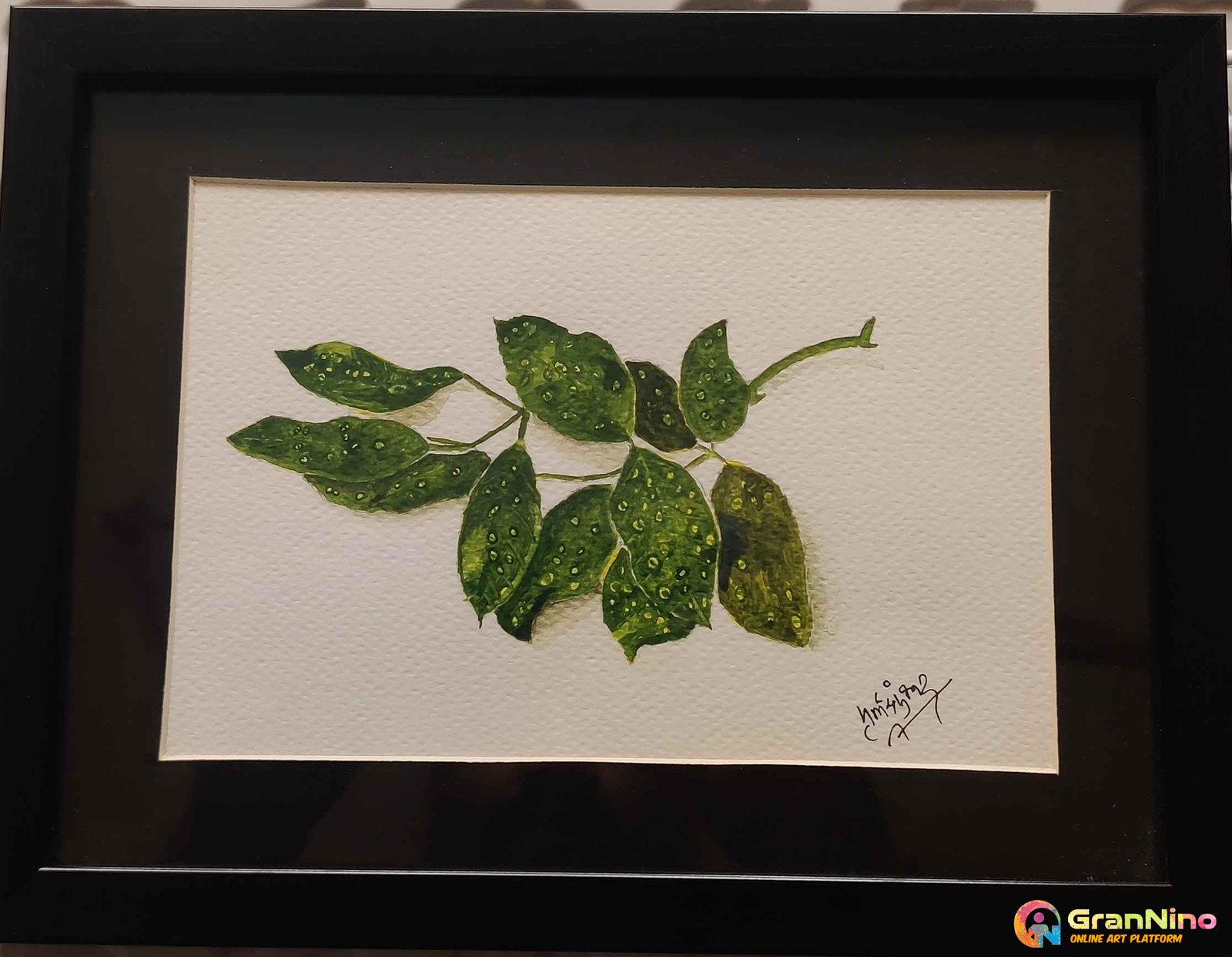 Painting Of Water Drops On Leaf In Watercolor Size Height