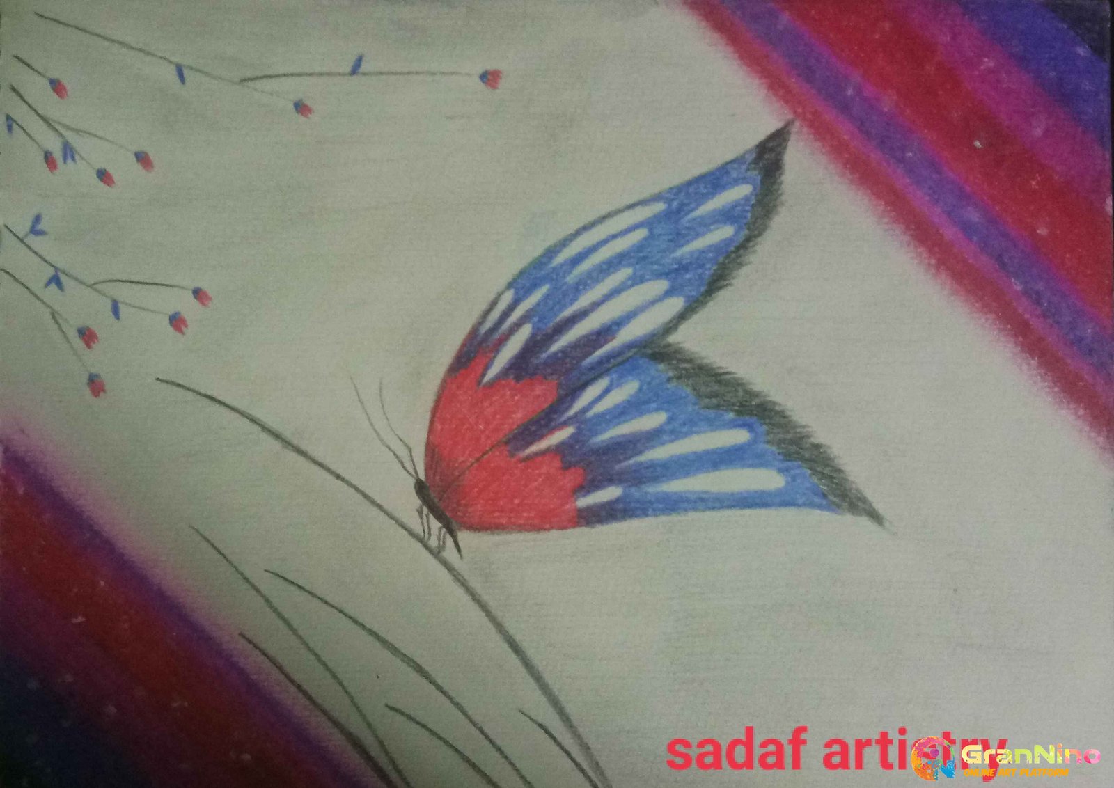 Butterfly Pencil Art.. – Raj's Artz Blog