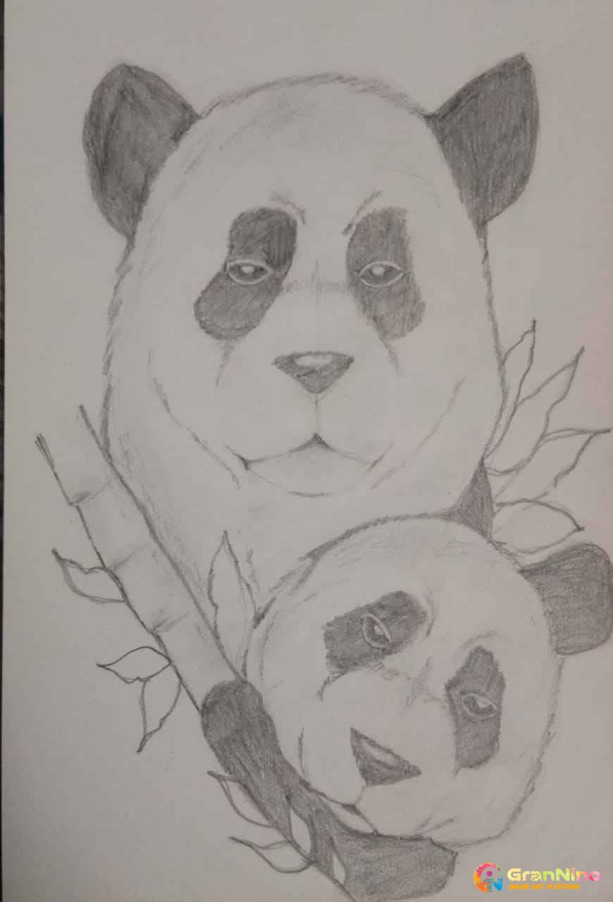 baby panda drawing in pencil