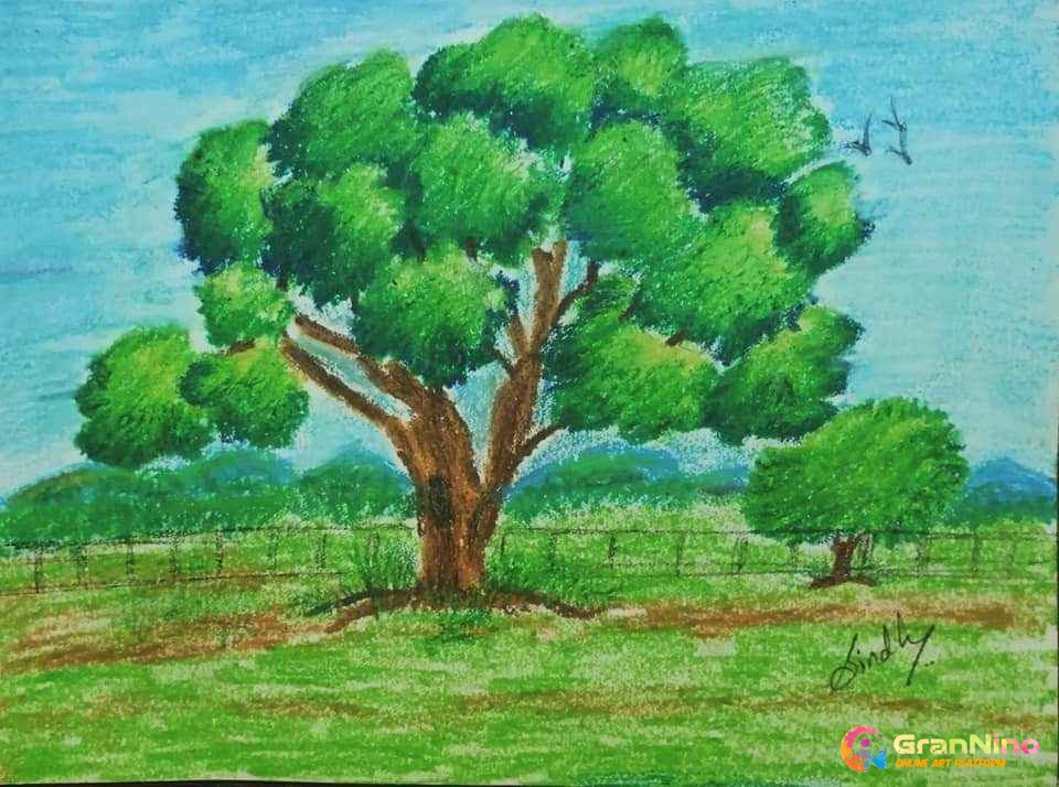 Oil Pastels