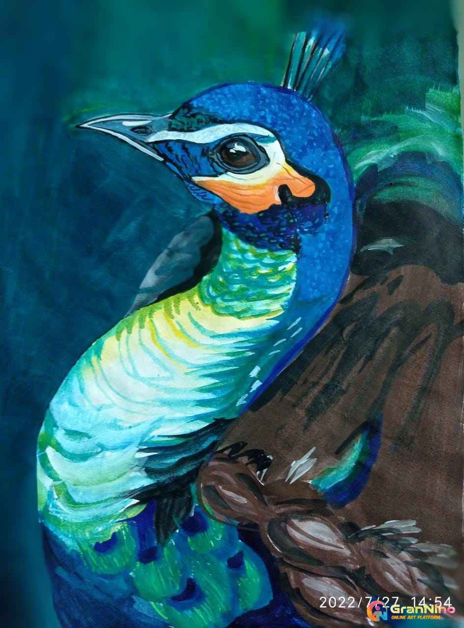 Amazon.com: applebless Oil Painting on Canvas Beautiful Peacock Feather  Wall Art Home Decor Animal Modern Pictures Painting for Living Room, Ready  to Hang - 12x12 inches: Paintings