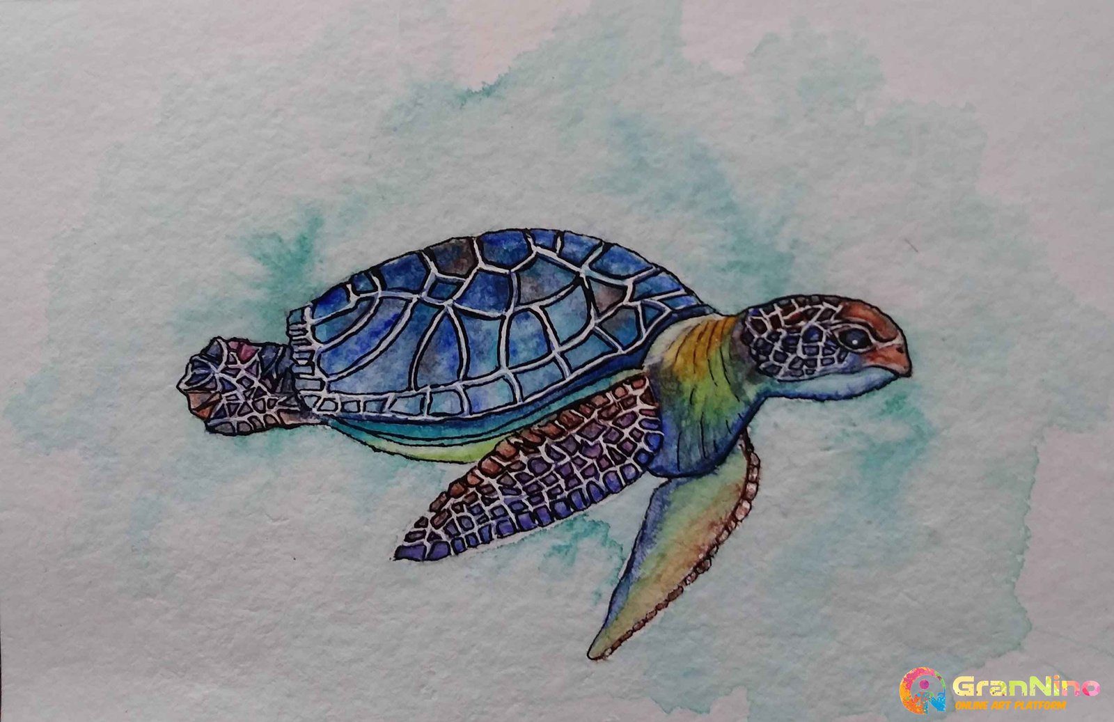 Emma Korhonen - Art - Pinta Island Tortoise (extinct 2012) [Colour pencil  and pen] #art #drawing #illustration #extinct #tortoise #galapagos |  Facebook