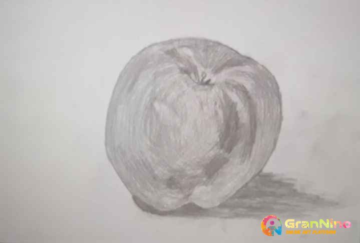 Draw Apple with Pencil | How to do Shading | Learn Light and Shadow -  YouTube