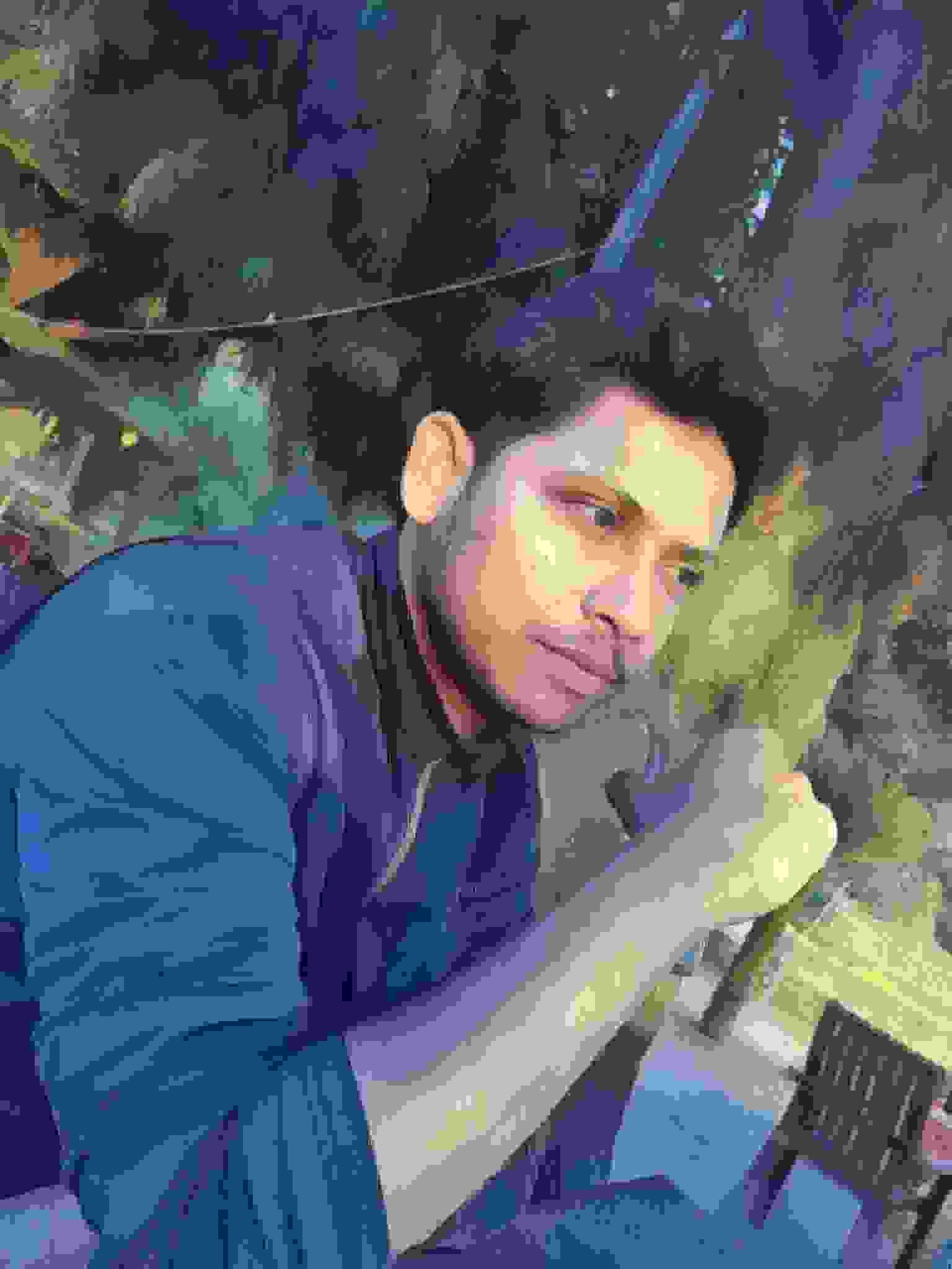 Art Gallery of Naresh Malhotra