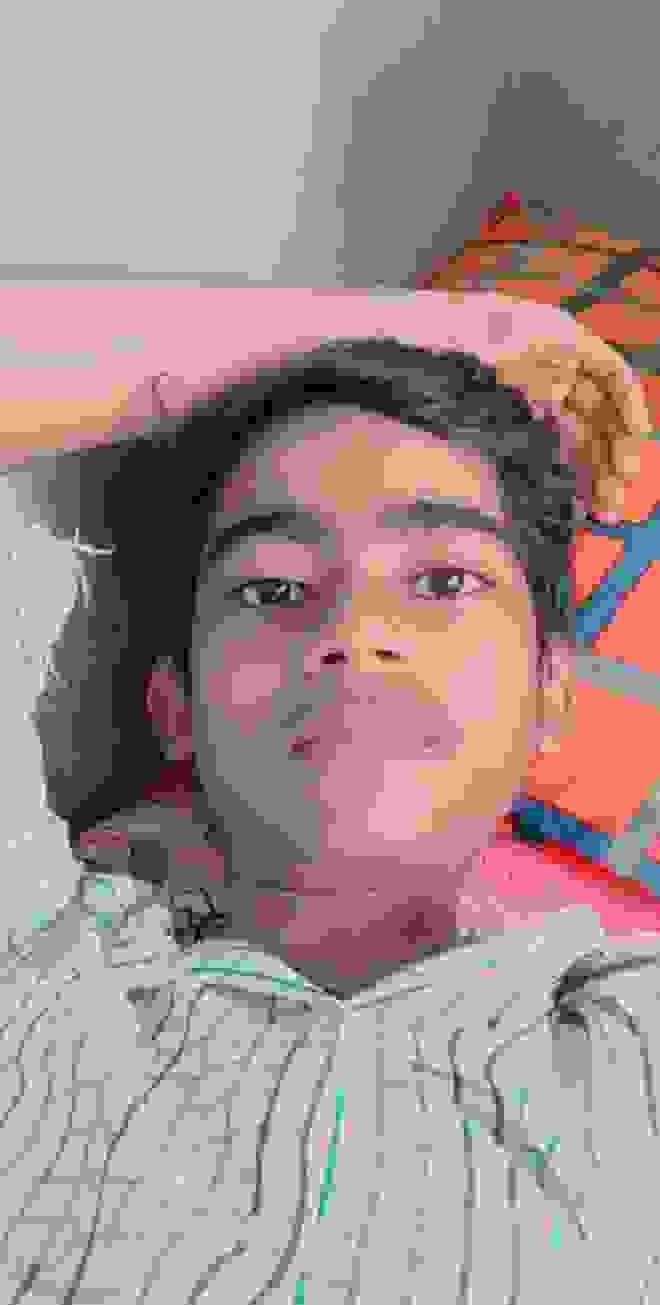 Art Gallery of Rajat